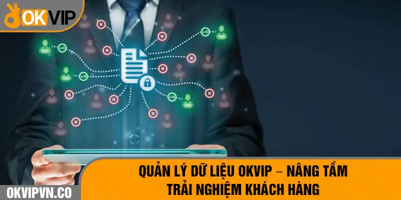 Quản Lý Dữ Liệu Okvip - Nâng Tầm Trải Nghiệm Khách Hàng